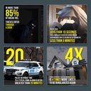 Home Invasion Statistics